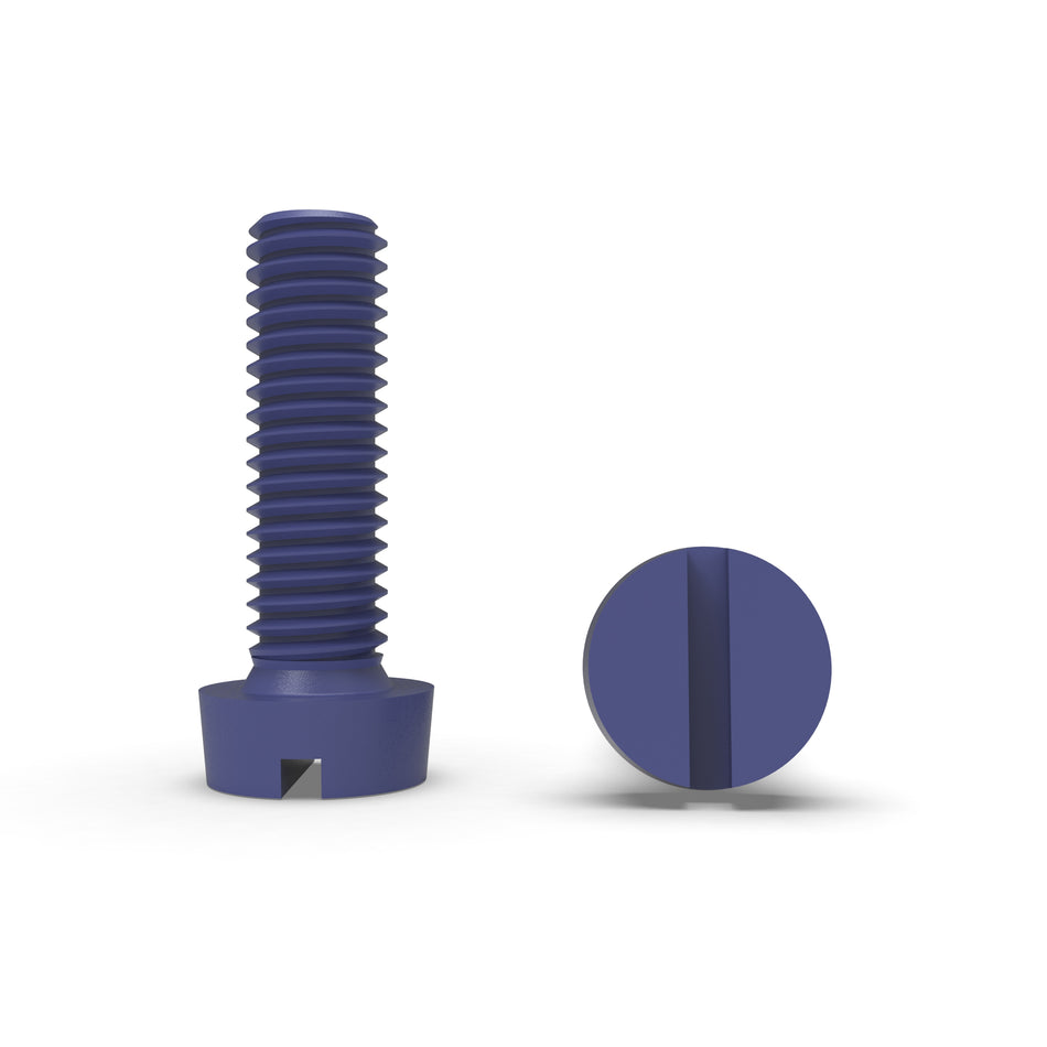 PTFE/Teflon Coated A2-70 Stainless Steel Slotted Cheese Head Screw - DIN 84